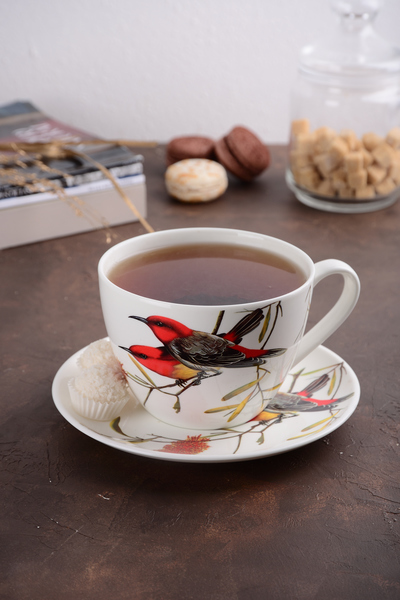 Чашка Limited Edition BIRD /НАБІР/1х550 мл з блюдцем 17.8 см / в подар. уп. (YF6009)