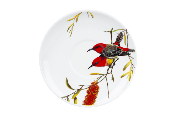 Чашка Limited Edition BIRD /НАБІР/1х550 мл з блюдцем 17.8 см / в подар. уп. (YF6009)