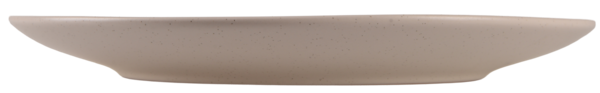 Тарілка Limited Edition NY NOBLE /26 см /обід. (TRSC-BH5026-105P)