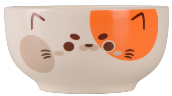 Набір посуду дит. Limited Edition HAPPY CAT /НАБІР/ 2 пр. / в упаковці (JSD05)
